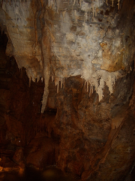CIMG3144.JPG