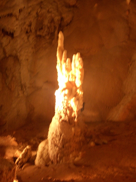 CIMG3157.JPG