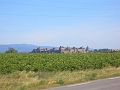 CIMG3064