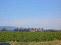 CIMG3065