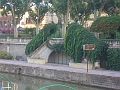 CIMG3125